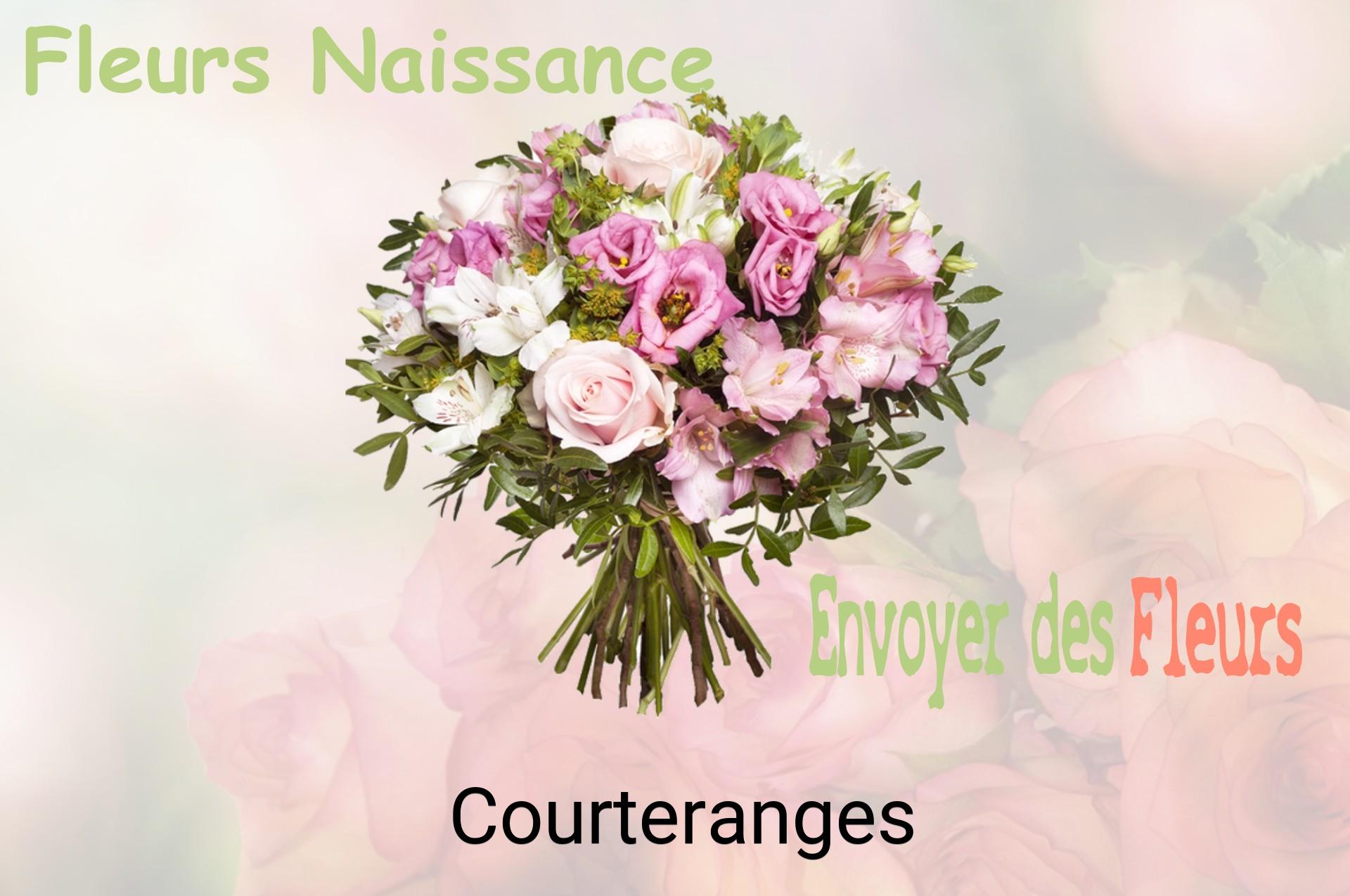 Bouquet de fleurs de naissance livré à Courteranges